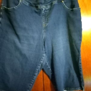 TERRA AND SKY BRAND DENIM SHORTS
